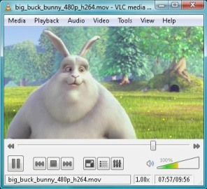 vlc-win32 vlc-win32