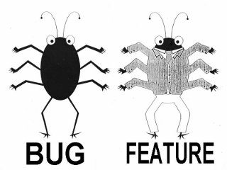 bug and feature
